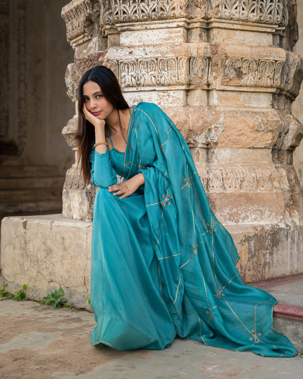 EMERALD GRACE ORGANZA SAREE